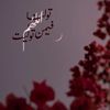 سميةوصافي