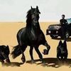 345faqeer