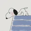 imunup_