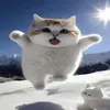 .noahlol