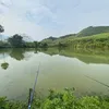 huycir002