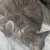 mmiirae