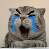 quocanh00000