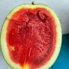 watermelon1836251