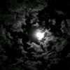 thedarknight1000