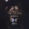 kingjordan979