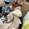whineywilma