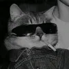 mehdi_lmilionaire