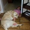 kaydie.brooke