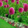 ahmadvirk26