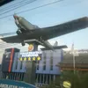 waluyo794