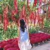 khapha12