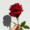 user791226077