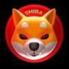 shiba_kevin