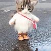 rowurboatie