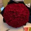 avan_1226
