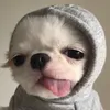 nhommaul.102