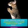 kucing_nyasedih