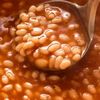 beykadubeans