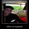 maksimov_crash_