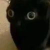 toby_the_klng