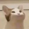 thpets97