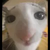 sammy_cave