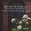 mohamedhabibomzr