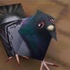 just_some_pigeon