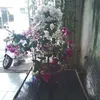 quangvinh9013