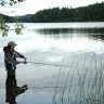 fish_don