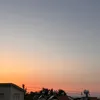 finn_4815162342