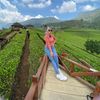 nitaa.alifa