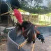thang041292