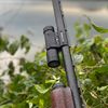 genesis9_outdoors