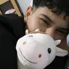 theo_a.1999