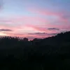 willkymsoon
