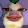 nguyetmeduahau