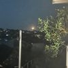 Margarita_P888