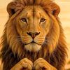 rmostafa66