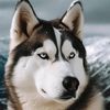 userxwrz5gypwq