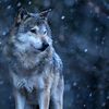 bir_umutur_yasamak_63