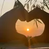 bepanastha013