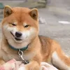manhhungdc