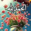 sherwan.ballak