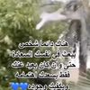 yurettio