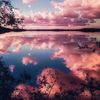 acid_rain911
