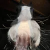 amynoir_3