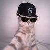 baysideboyyy