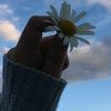 rama_alawadii16